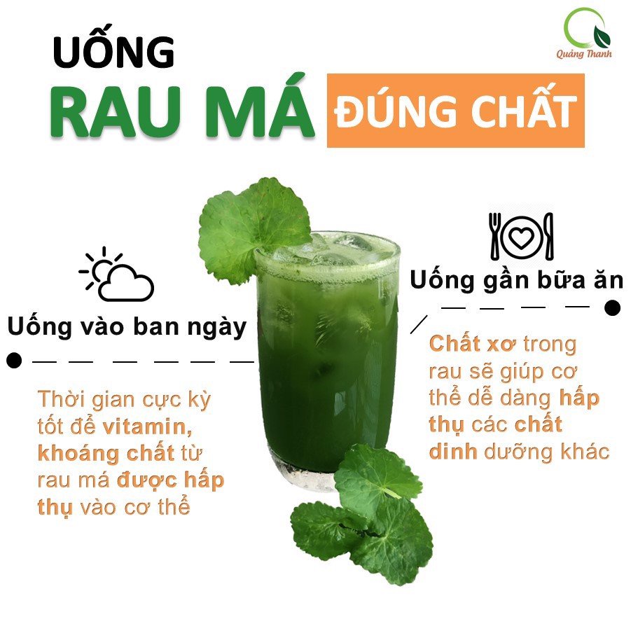 Combo 2 gói bột rau má nguyên chất Quảng Thanh 100g/gói