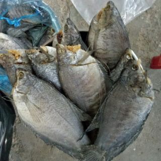 Khô cá sặc bổi , 9 đến 10 con 1kg