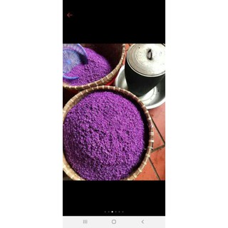 cây giống cẩm tím cẩm đỏ