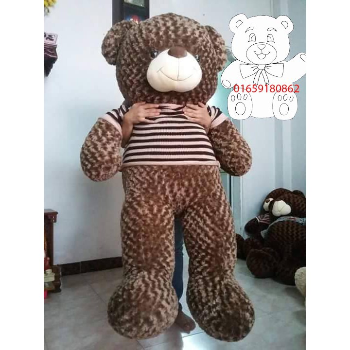 gấu teddy 1m8