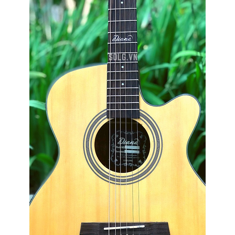 Guitar Acoustic Diana D815NM - Gỗ Bách Tùng Nguyên Tấm -Sol.G