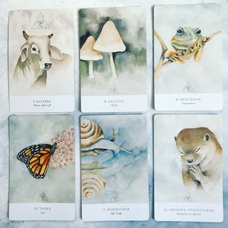 Bộ Bài Land Sky Oracle (Guu Tarot Shop)