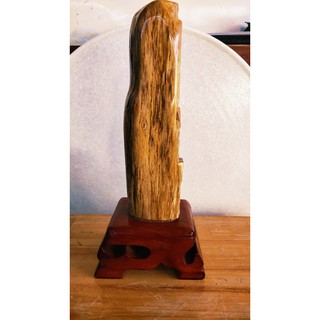 Gỗ hóa thạch 100% tự nhiên-xuất xứ gia lai việt nam-khối lượng:2.4kg_cao:33 cm_rộng: 14 cm.
