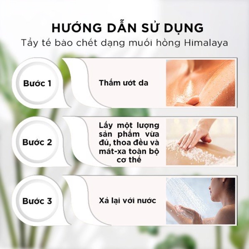 Muối Tắm Felina Himalaya Salt Glow Aloe Vera Tẩy Tế Bào Da Chiết Xuất Lô Hội, Bơ, Lavender 500g - BOBSHOP