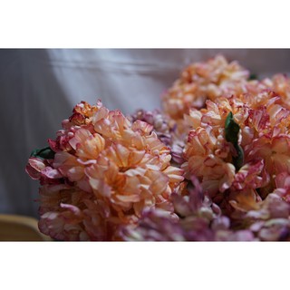 Cẩm tú cầu lụa giả hoa hoa khô-36cm