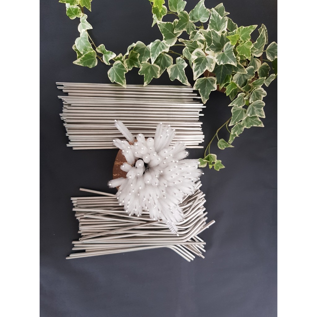 Bộ 5 món:2 Ống hút inox 304 ,1 ống hút trà sữa và 1 cọ rửa nilon và túi canvas | BigBuy360 - bigbuy360.vn