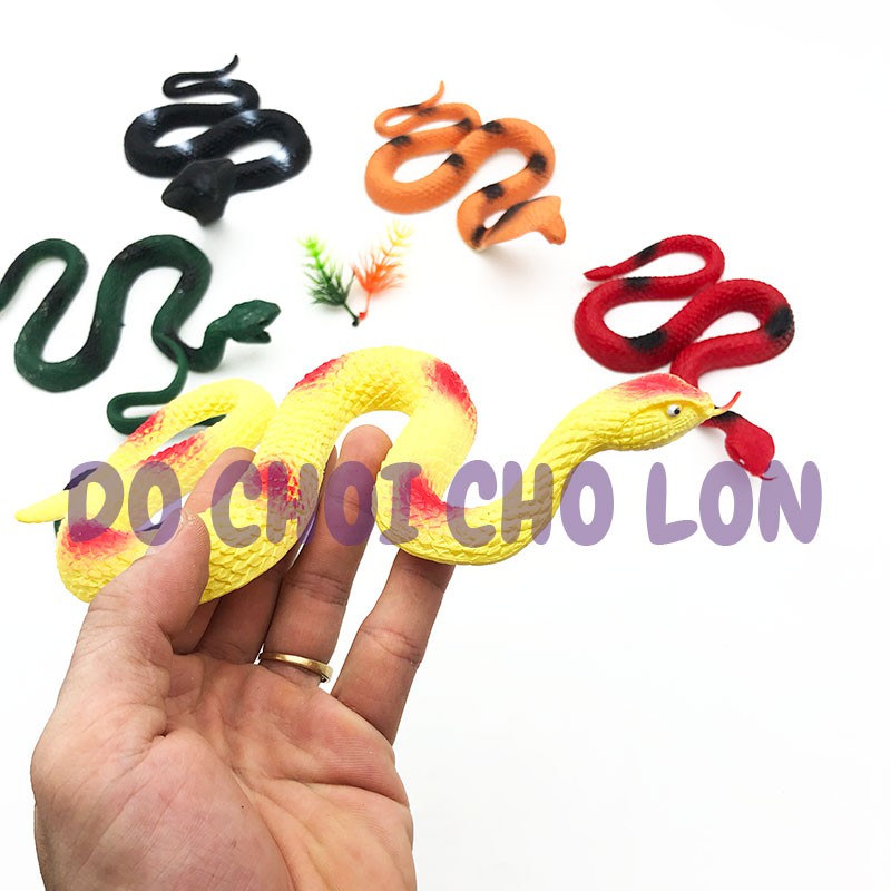 Đồ chơi mô hình 6 CON rắn hổ mang World Reptiles 666M33