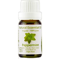 TINH DẦU XÔNG BẠC HÀ LÁ DÀI PHÁP - ESSENTIAL OILS SPEARMINT