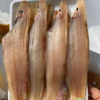 Cá Lưỡi Trâu 1 nắng 500g