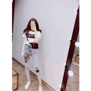 Áo phông Dolce