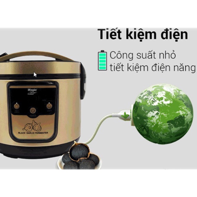 Máy làm tỏi đen Magic A79