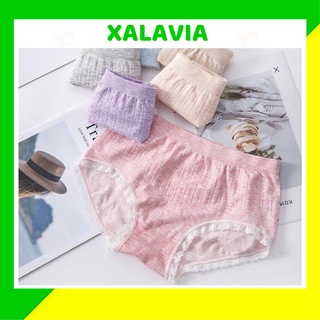 Quan lot nu cotton bigsize