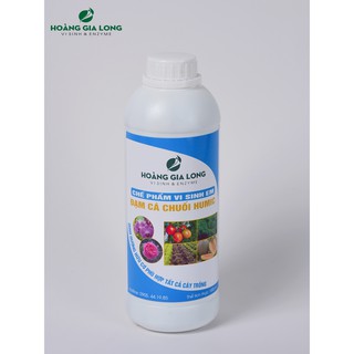 Chế phẩm vi sinh Đạm cá – Chuối – Humic
