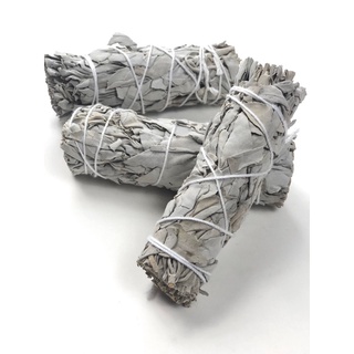 white sage/ lá xô thơm