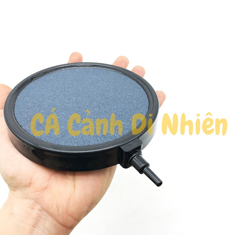 Sủi đĩa OXY ĐÀI LOAN siêu mịn đường kính 13 cm cho hồ cá cảnh