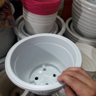 10 chậu nhựa tròn 24cm