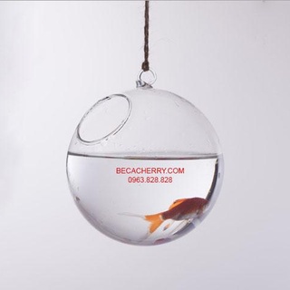 Bình thủy tinh tròn treo 15cm