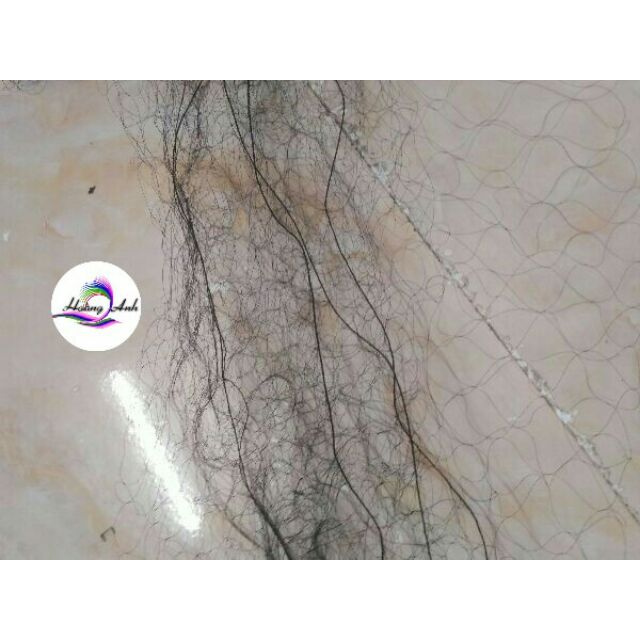 Lưới Bẫy Chim Cu Gáy 30M Cao 5Mtàng hình chất lượng 6868