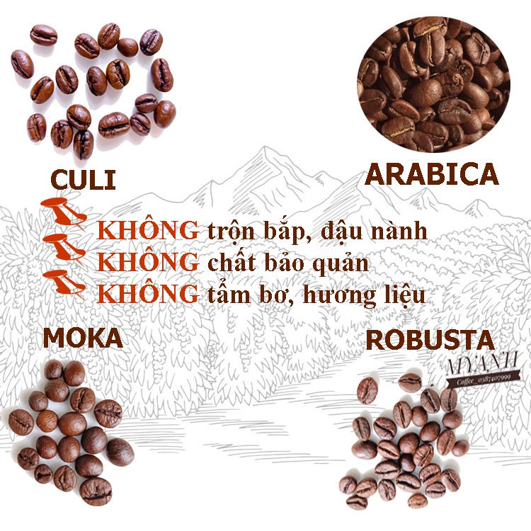 1kg Cà phê Cold Brew - Vietnamese coffee - Myanh coffee | BigBuy360 - bigbuy360.vn