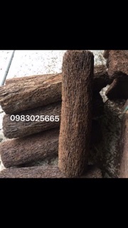 Dớn trụ ghép lan