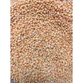 500G ĐẬU LĂNG ĐỎ ĐÃ TÁCH VỎ (nhập khẩu Argentina)