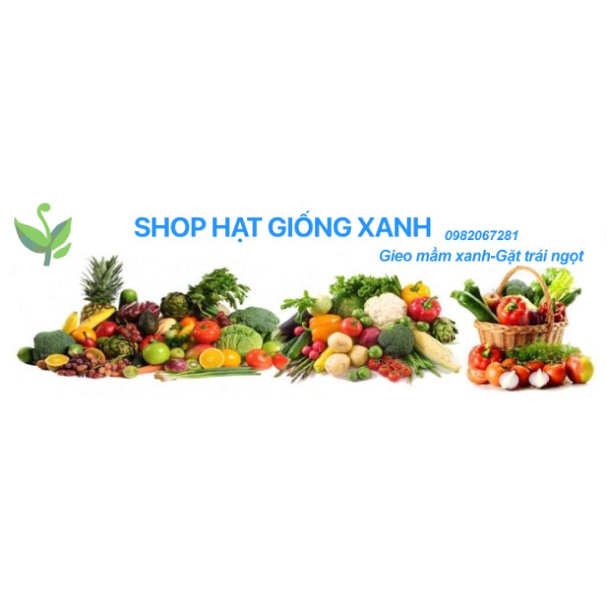 Hạt giống rau muống nước siêu ngọn Thái lan F1, Gói 30 Gram, Rau củ quả trồng sân thượng, tại vườn, ban công.