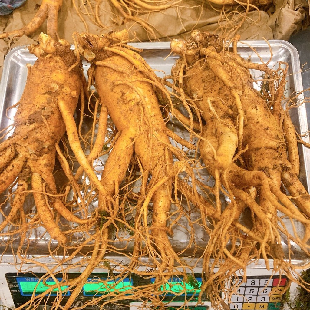 Nhân sâm tươi Hàn Quốc 6 năm tuổi, size 3 củ/kg, 4.000.000/kg