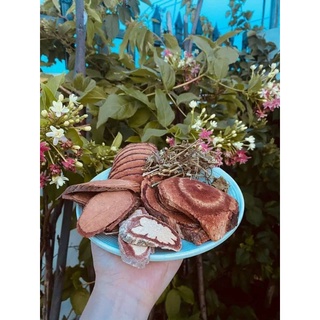 Cổ máu tăng cân tâm an