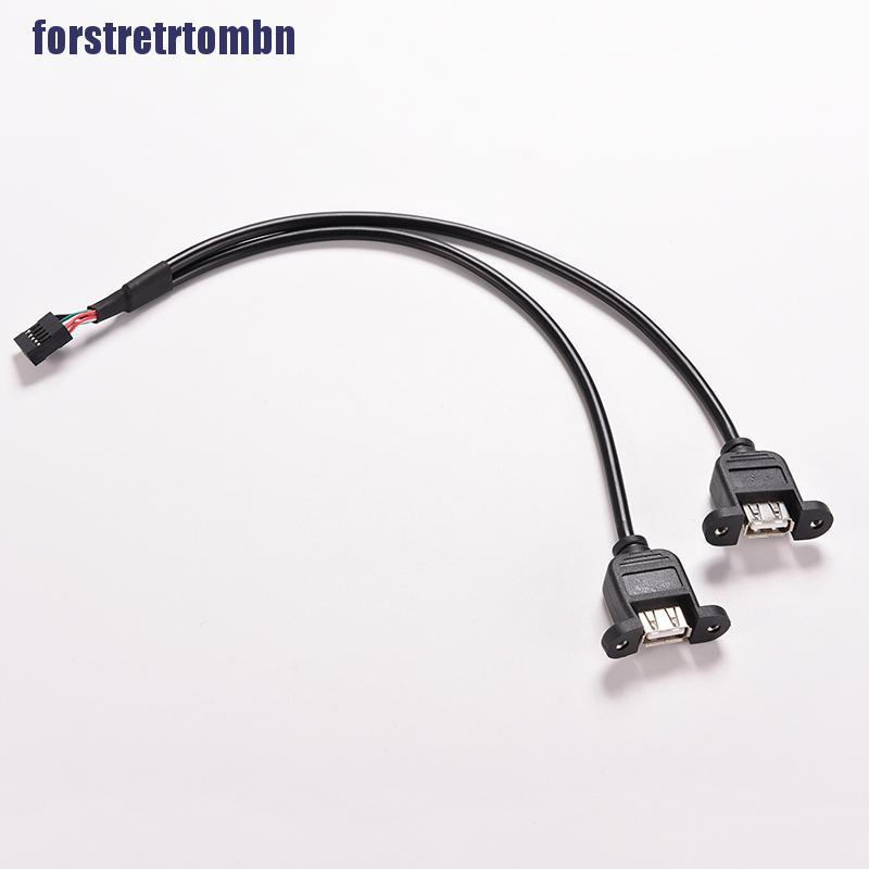 1pc Black 30cm / 1ft 2 Port Usb A Female To Inter 9 Pin Header Ada