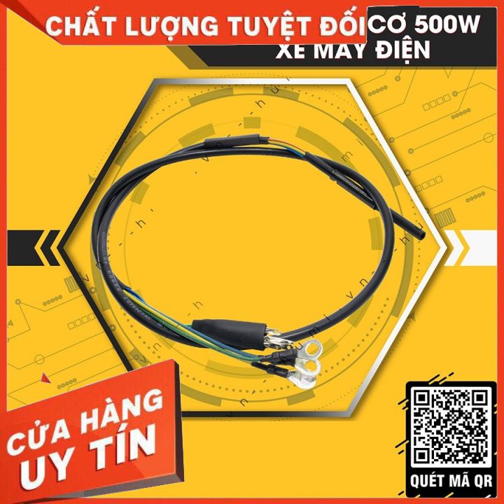 Dây Động Cơ Xe Điện 500w CAO CẤP [ GIÁ RẺ]