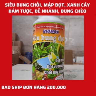 Siêu bung chồi, vọt đọt, mập đọt, xanh cây, cứng cây, đẻ nhánh, bung chèo