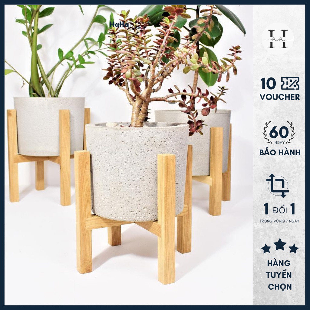 Chân Gỗ Đặt Chậu cây - Đôn Gỗ Để Chậu Hoa CCG01
