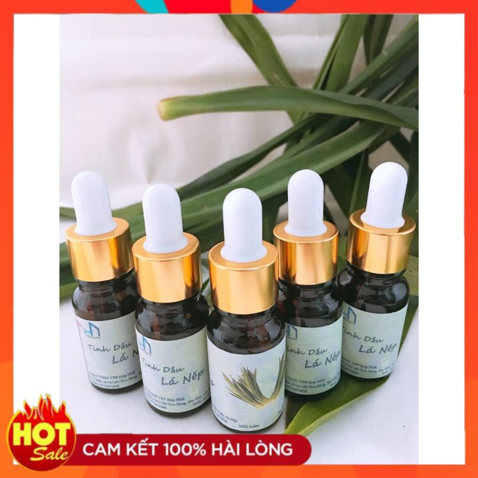 Combo 03 Lọ Tinh dầu Lá Nếp 10ml