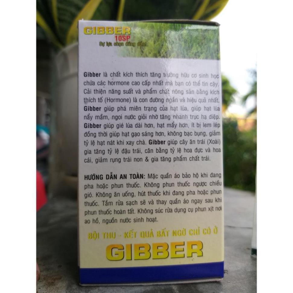 Phân Bón Lá GIBBER Kích Thích Tăng Trưởng
