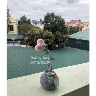 Chậu cây trái tim len handmade