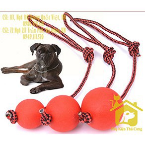 Đồ chơi bóng cao su gắn dây cho thú cưng - Phụ kiện chó mèo Pet shop Hà Nội