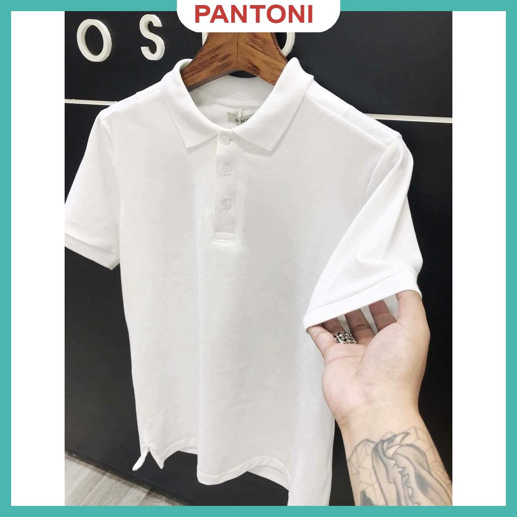 Áo phông nam ngắn tay có cổ cao cấp - Chất liệu cotton , không nhăn, thoáng mát, thấm hút mồ hôi(ACB) | BigBuy360 - bigbuy360.vn