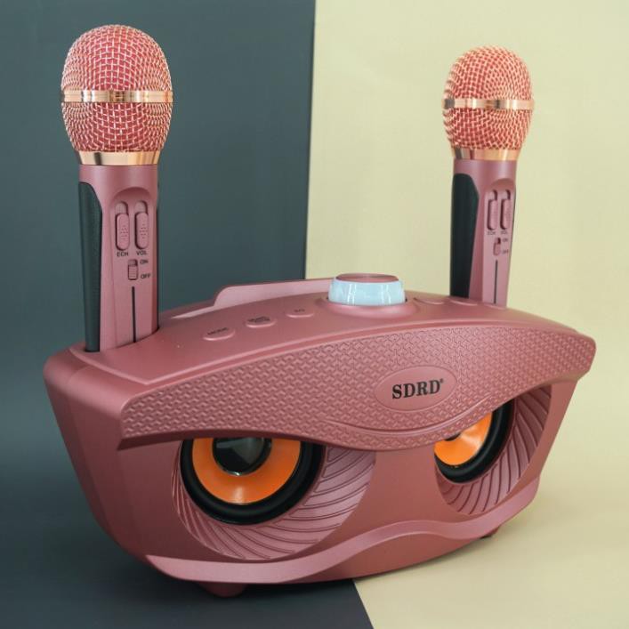 Loa karaoke Bluetooth SD 306, Loa bluetooth không dây - kèm 2 micro hát karaoke bluetooth bass cực chuẩn