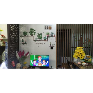 decal dán tường chậu cây trang trí