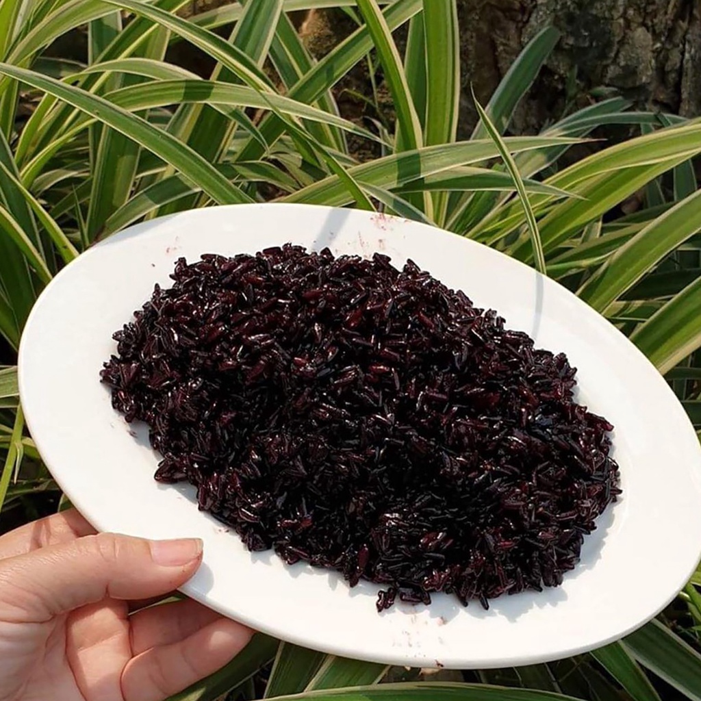 Gạo lứt đen Bách Hợp 1kg, gạo lứt đen hữu cơ nguyên cám tốt cho người theo chế độ ăn chay, ăn kiêng,tiểu đường