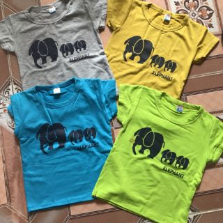 Áo cotton 4c tici đẹp size 8_16kg
