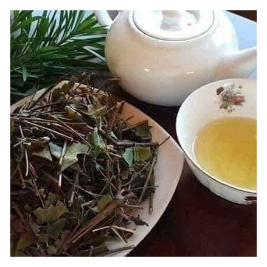 Chè Vằng Lá Sẻ Hàng Chất Lượng Mới, Sạch Giúp Lợi Sữa, Giảm Cân Túi  1Kg | BigBuy360 - bigbuy360.vn