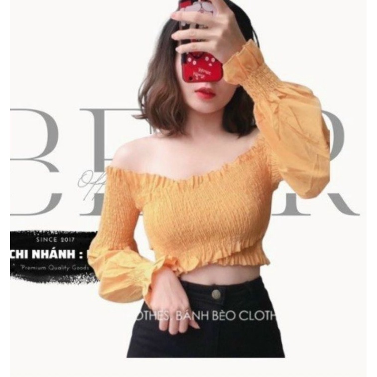 Áo bẹt vai chéo ngực tay bo cực xinh xắn A15