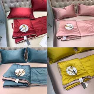 Sét lụa tencel 1 màu chăn tơ tằm 🌸