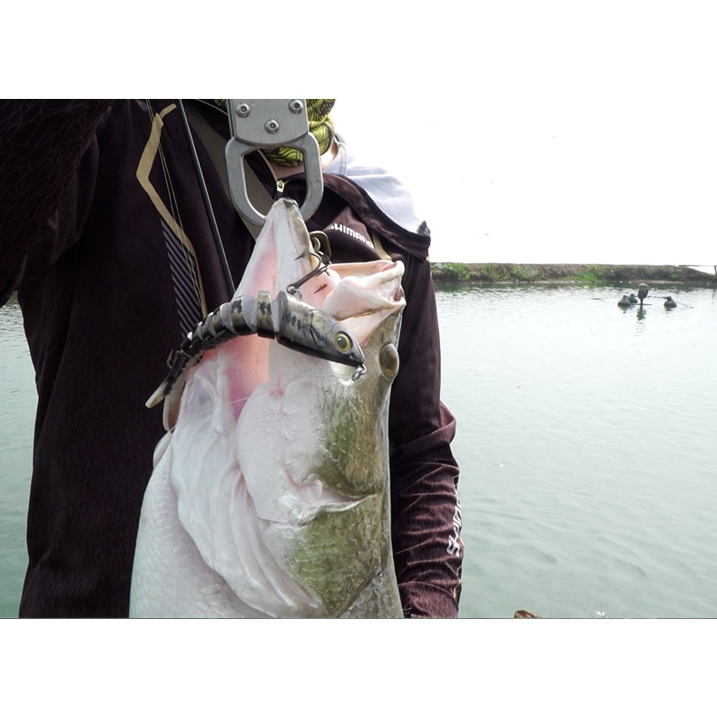 Mồi câu cá giả 8 đoạn 13.5cm 23g bằng nhựa cứng