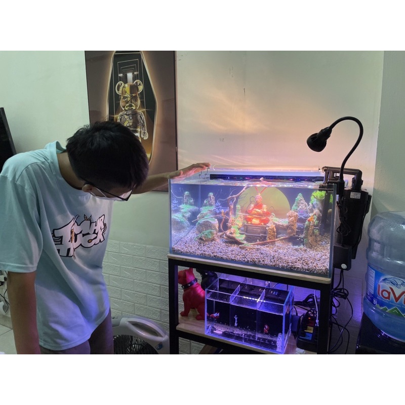 Hồ cá thuỷ sinh, tiểu cảnh Tề Thiên phong cách Kelsey