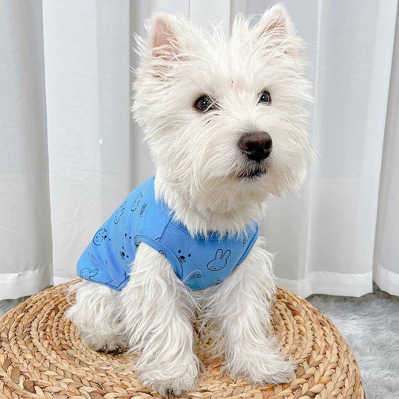 Áo thun cotton HiPiDog in hình thỏ dễ thương thời trang mùa hè cho thú cưng