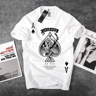 [VIDEO + ẢNH THẬT] Áo Thun Roronoa Zoro One Piece Cực Chất | Áo Đảo Hải Tặc Tshirt