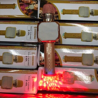 MIC KARAOKE CẦM TAY Z10L ( Có đền LED )