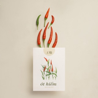 Hạt giống non-GMO -  Ớt Hiểm | non-GMO seed Bird's Eyes Chilli